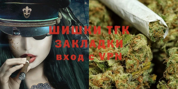 PSILOCYBIN Аркадак