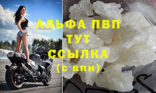 PSILOCYBIN Аркадак