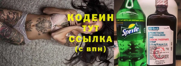 индика Балабаново