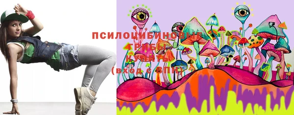 PSILOCYBIN Аркадак