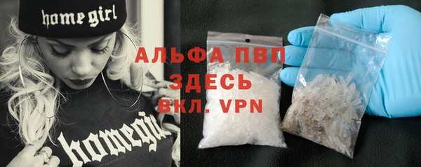 PSILOCYBIN Аркадак