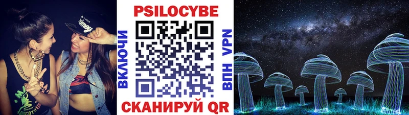 купить наркоту  Балей  мориарти состав  Псилоцибиновые грибы MAGIC MUSHROOMS 